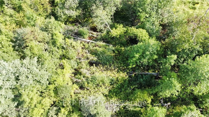 70 BANNOCKBURN Rd, Madoc, K0K 1Y0 | Image 2