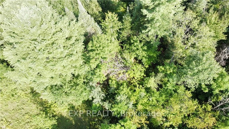 70 BANNOCKBURN Rd, Madoc, K0K 1Y0 | Image 3