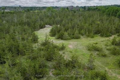 89 POWER Rd, Tyendinaga -  image-0-3