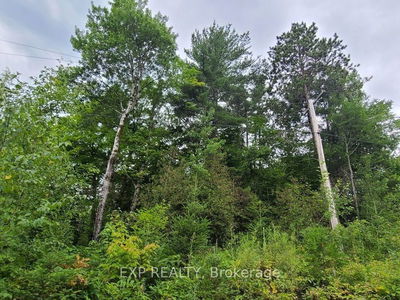 20 PEPLINSKIE HOMESTEAD Rd, Madawaska Valley - 570 - Madawaska Valley