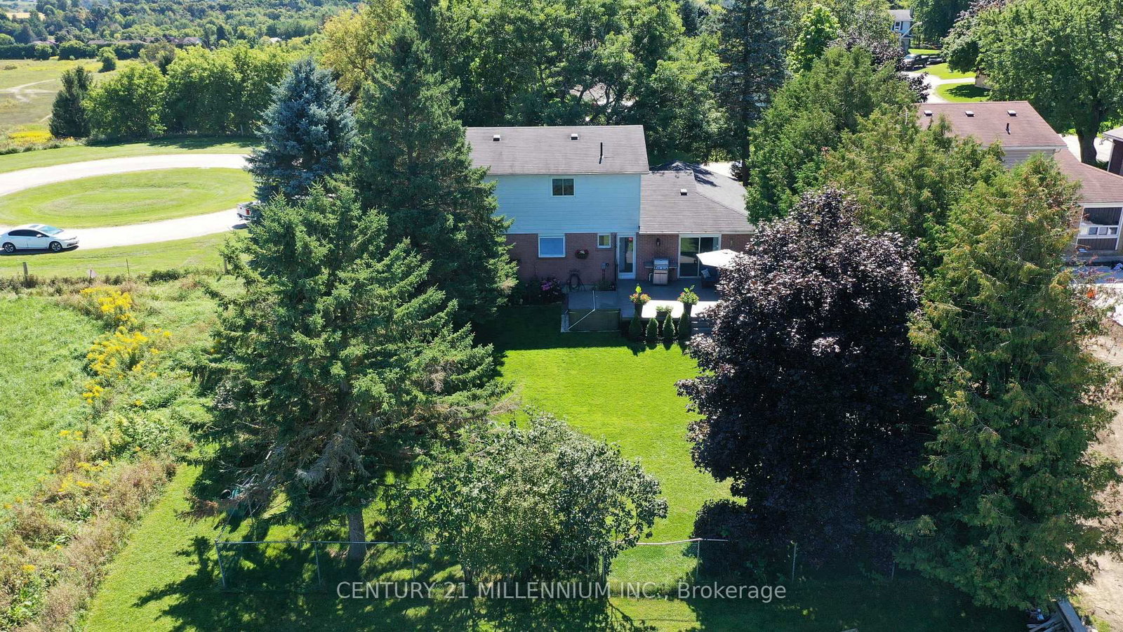 Listing Image 7