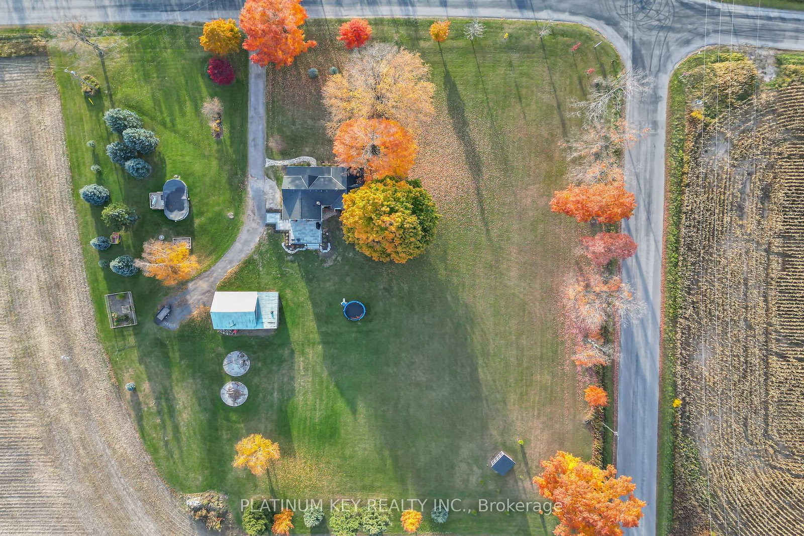 Listing Image 4