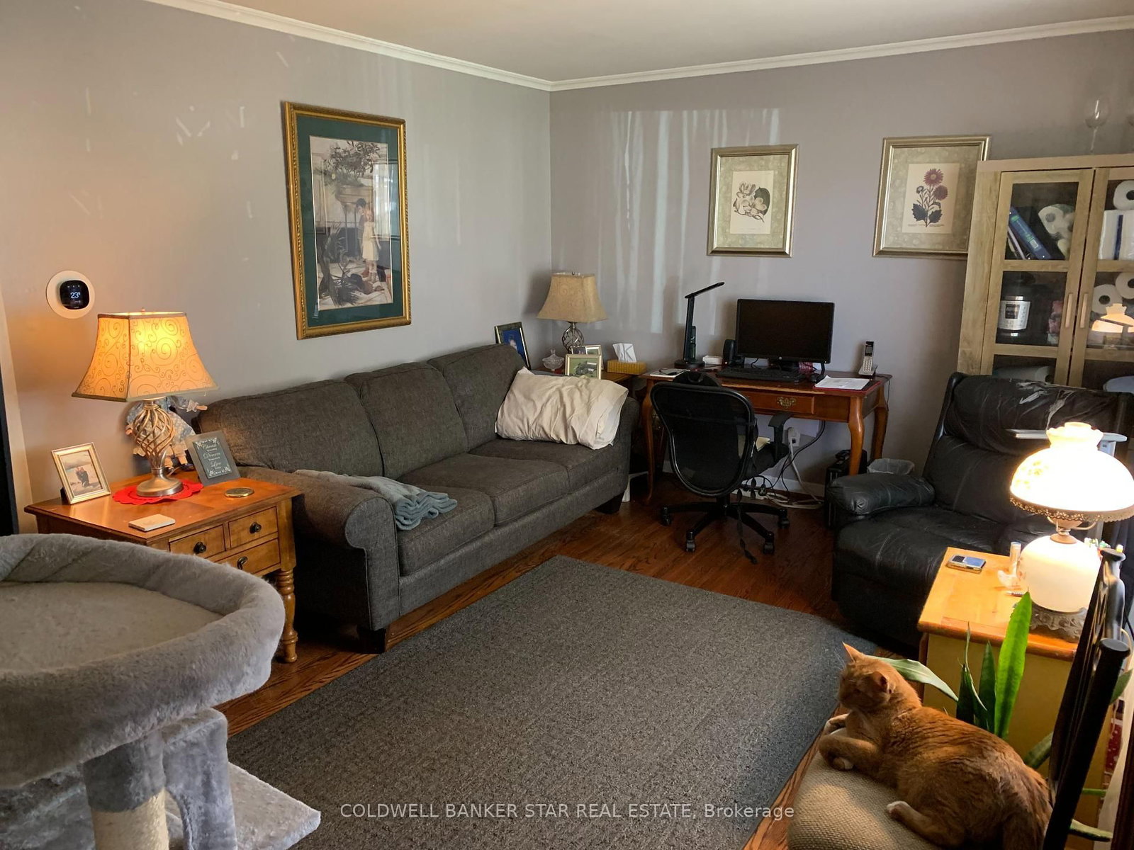 Listing Image 5