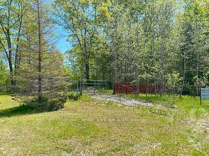 3987 County Road 6, North Kawartha - Rural North Kawartha image-0-0