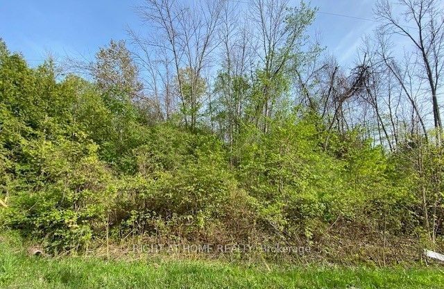 Vacant Land sold at 227 Grandview Drive, Alnwick/Haldimand, Rural Alnwick/Haldimand, K0K 2X0 - MLS: X9510190