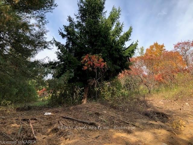 1380 WESTPORT Rd, Godfrey, K0H 1T0 | Image 2