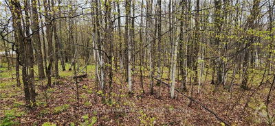 Lot 15 HOLLIE Dr, Lanark Highlands - 914 - Lanark Highlands (Dalhousie) Twp image-0-2