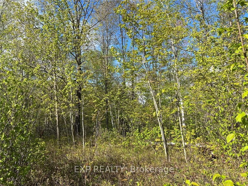 Lot 6 CASSON Tr, Madawaska Valley - 570 - Madawaska Valley image-0-0