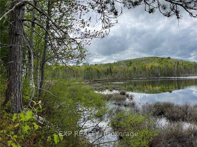 LOT 8 CASSON Tr, Madawaska Valley - 570 - Madawaska Valley image-0-3