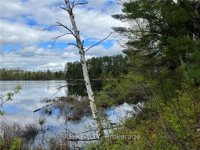 LOT 8 CASSON Tr, Madawaska Valley - 570 - Madawaska Valley image-0-4