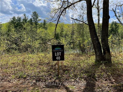 Lot 40 SANDY SHORES Tr, Madawaska Valley - 570 - Madawaska Valley image-0-2