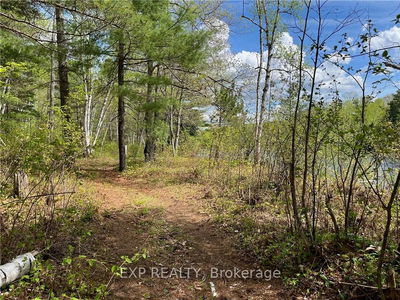 Lot 40 SANDY SHORES Tr, Madawaska Valley - 570 - Madawaska Valley image-0-3