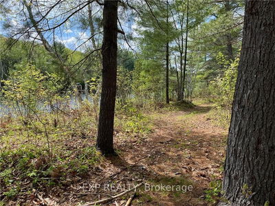 Lot 40 SANDY SHORES Tr, Madawaska Valley - 570 - Madawaska Valley image-0-4