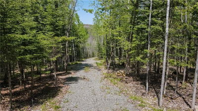 38986A COMBERMERE Rd, Madawaska Valley - 570 - Madawaska Valley