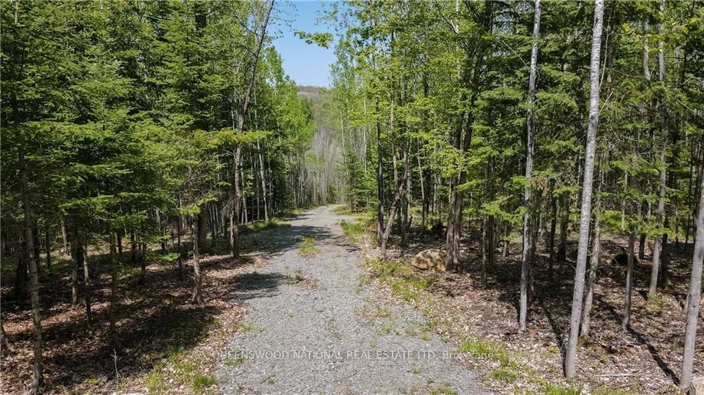 Building at 38986A COMBERMERE Road, Madawaska Valley, 570 - Madawaska Valley