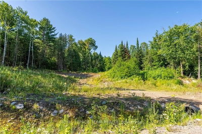 LOT 17 BARK BAY Tr, Madawaska Valley - 570 - Madawaska Valley image-0-4