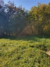 15 ZILNEY St, Barry's Bay, K0J 1B0 | Image 2