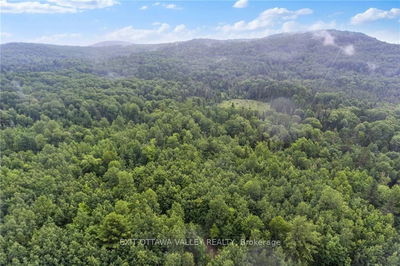 732 OLD BARRY'S BAY Rd, Madawaska Valley - 570 - Madawaska Valley image-0-2