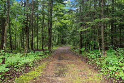 732 OLD BARRY'S BAY Rd, Madawaska Valley - 570 - Madawaska Valley image-0-3