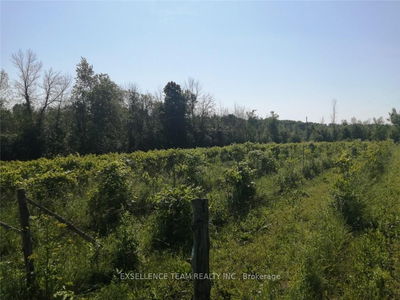 19307 KENYON CONCESSION ROAD 7 Rd, North Glengarry - 720 - North Glengarry (Kenyon) Twp image-0-1