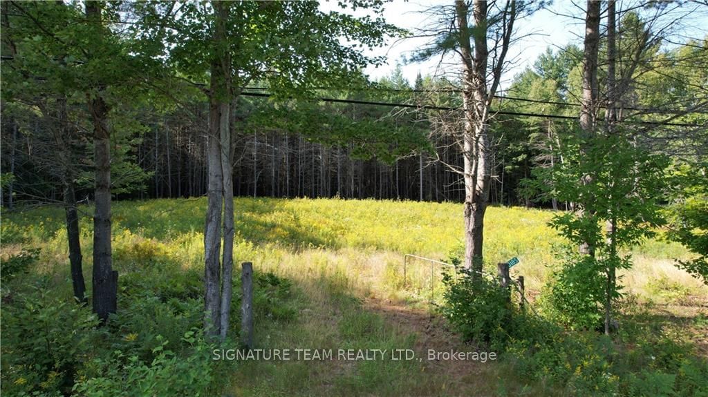 Building at 20185 HIGHWAY 60, Madawaska Valley, 570 - Madawaska Valley