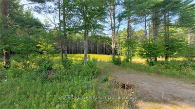 20185 HIGHWAY 60, Madawaska Valley - 570 - Madawaska Valley image-0-1