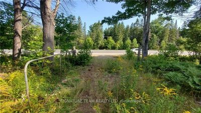 20185 HIGHWAY 60, Madawaska Valley - 570 - Madawaska Valley image-0-2