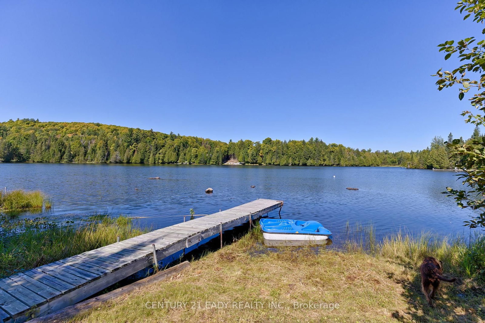 Listing Image 13
