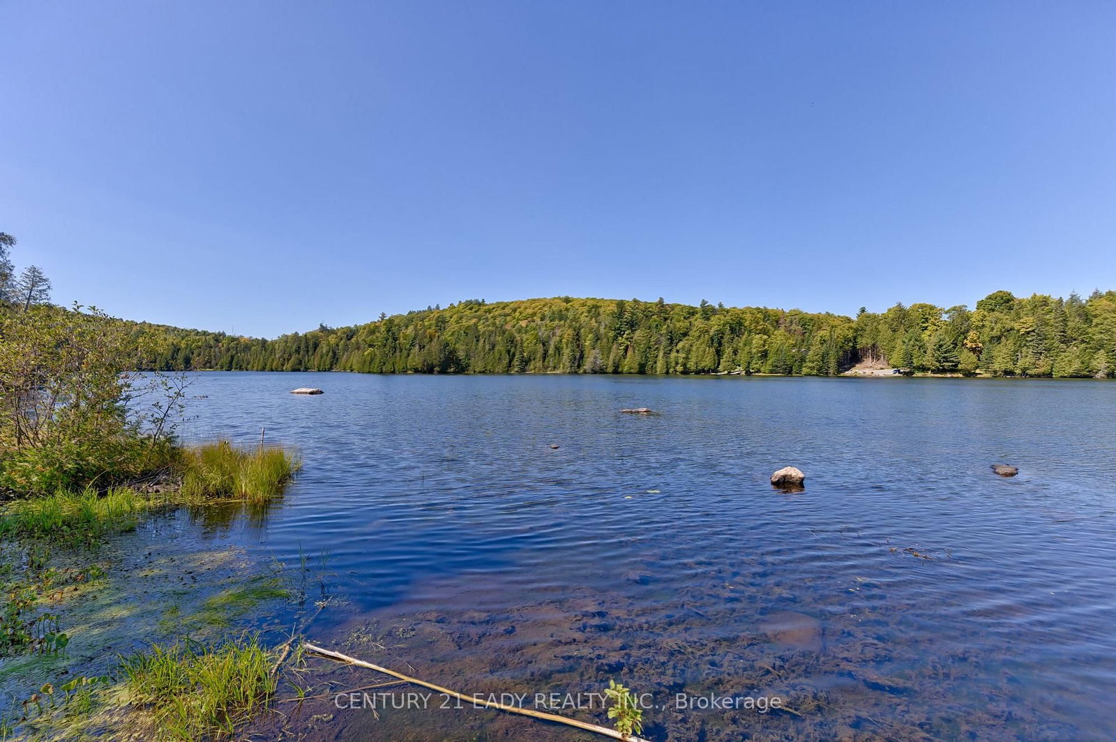 Listing Image 14
