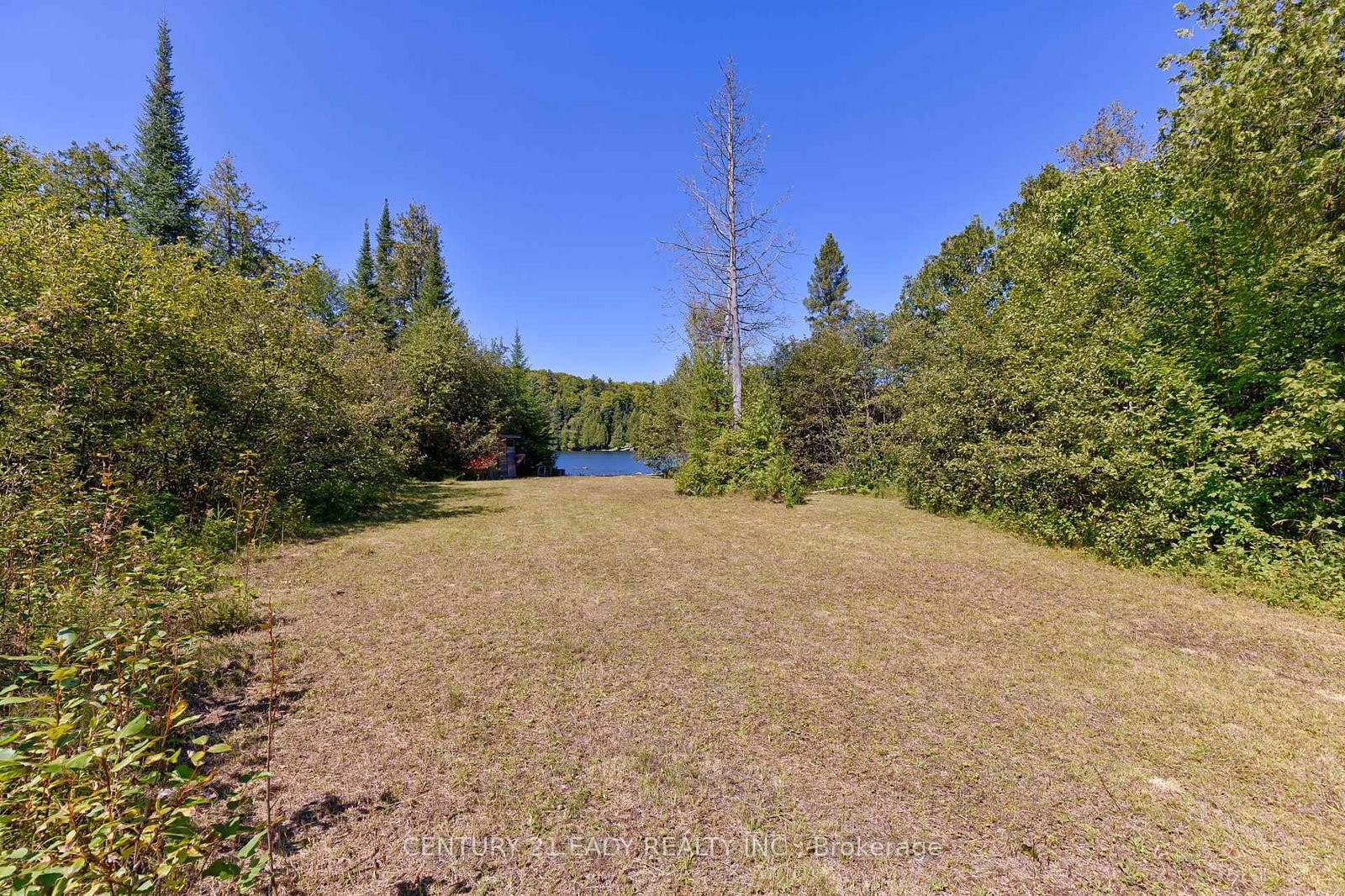 Listing Image 17