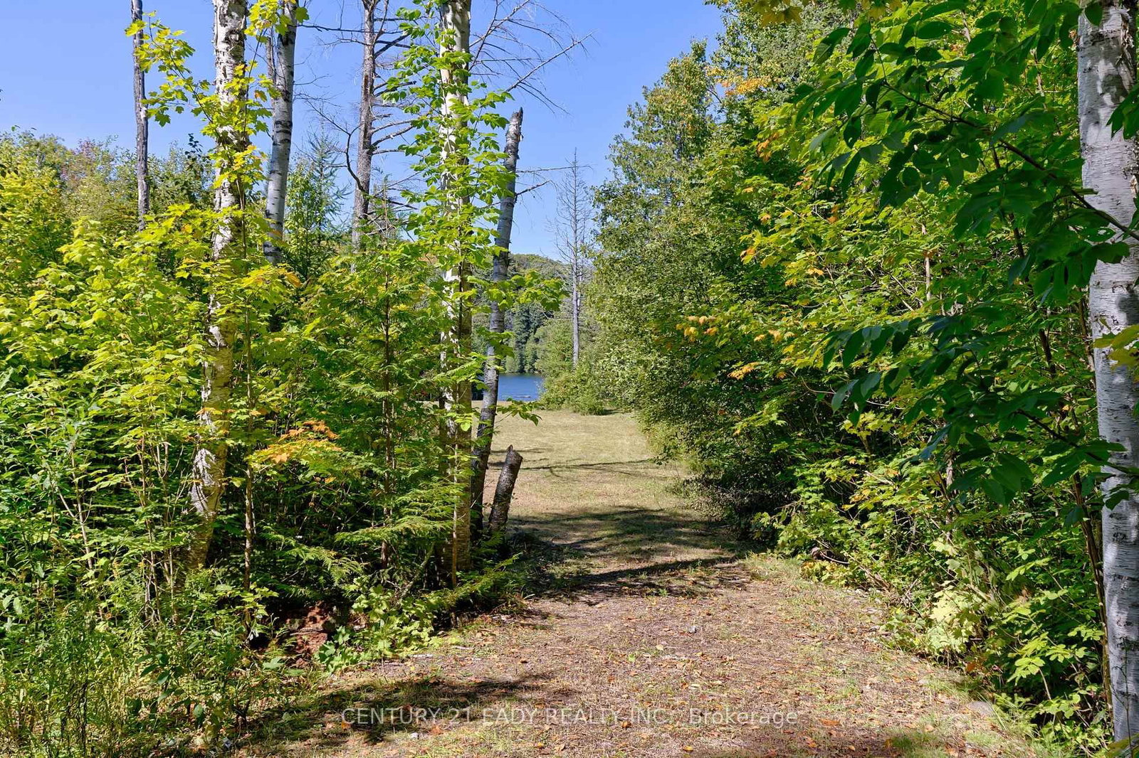 Listing Image 18