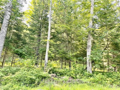 Lot A CHIPPAWA Rd, Madawaska Valley - 570 - Madawaska Valley