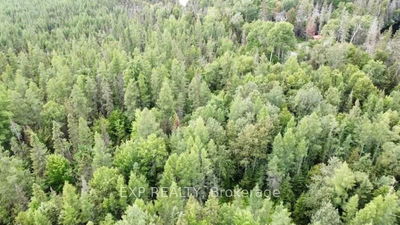 Lot A CHIPPAWA Rd, Madawaska Valley - 570 - Madawaska Valley image-0-2