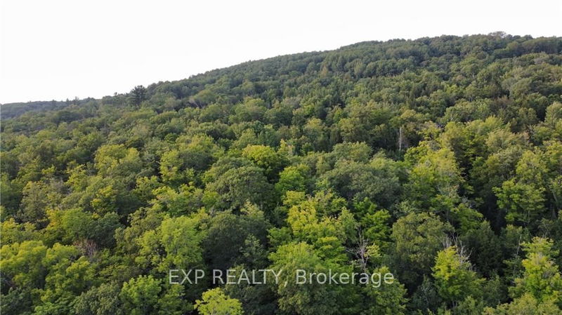 Lot C PARCHER Rd, Madawaska Valley - 570 - Madawaska Valley image-0-0