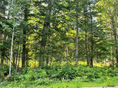 Lot B CHIPPAWA Rd, Madawaska Valley - 570 - Madawaska Valley image-0-1