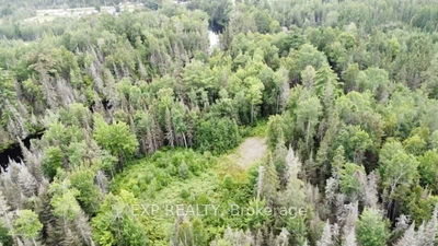 Lot B CHIPPAWA Rd, Madawaska Valley - 570 - Madawaska Valley image-0-2