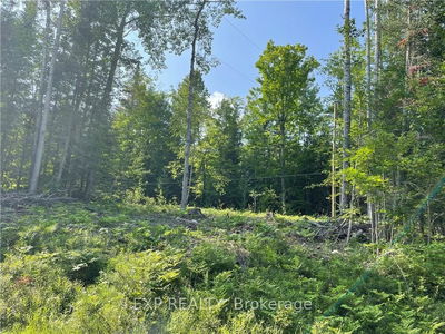 Lot B CHIPPAWA Rd, Madawaska Valley - 570 - Madawaska Valley image-0-3