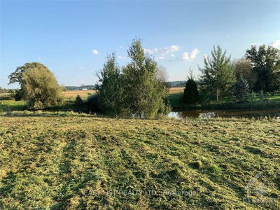 Lot 26 PRINCIPALE St, Alfred and Plantagenet - Alfred and Plantagenet Twp image-0-1