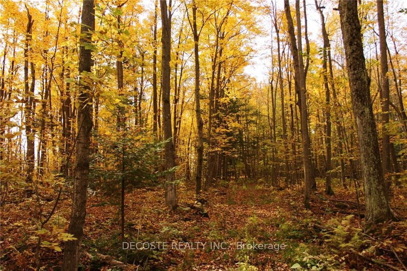 0000 COUNTY 43 Rd, North Glengarry, K0C 1A0 | Image 3