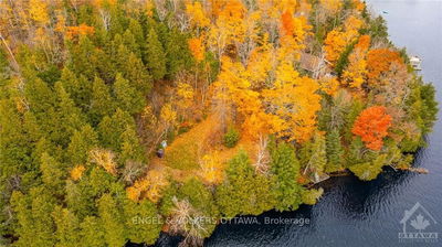 233 BARRETT CHUTE Rd, Calabogie - Greater Madawaska image-0-2