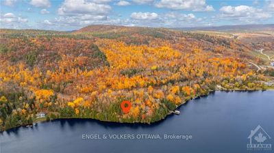 233 BARRETT CHUTE Rd, Calabogie - Greater Madawaska image-0-3