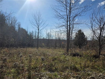  DALHOUSIE CONCESSION 8 Rd, Lanark Highlands - 914 - Lanark Highlands (Dalhousie) Twp