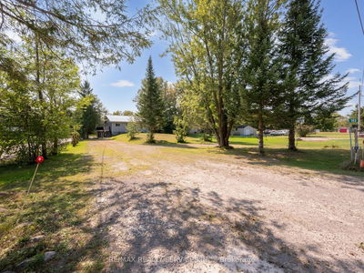 183 McGuire Beach Rd, Kawartha Lakes - Rural Carden image-0-3