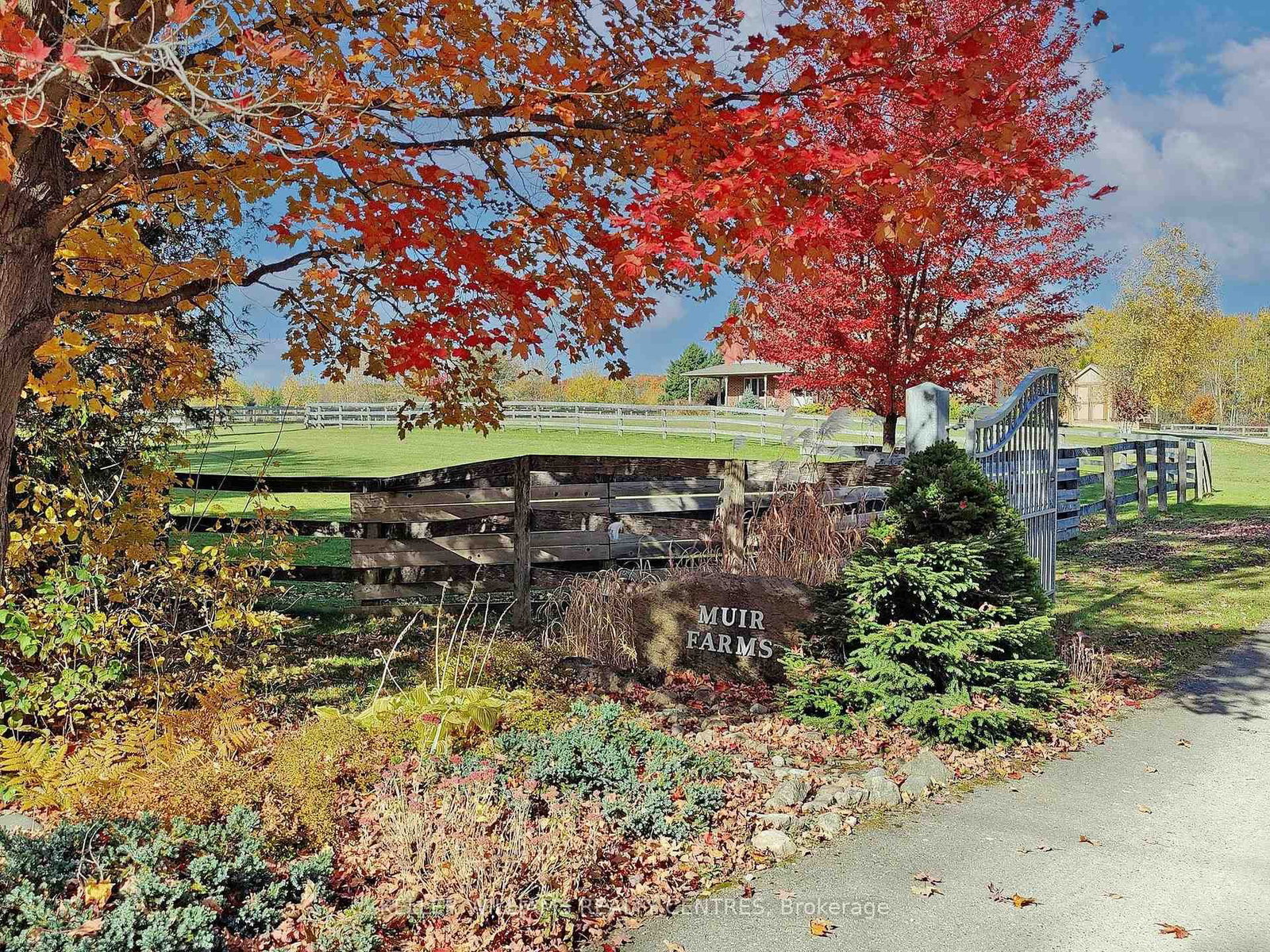 Listing Image 40