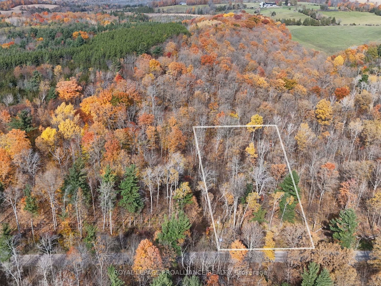 Vacant Land sold at 00 9th Line W, Part 1, Trent Hills, Campbellford, K0L 1L0 - MLS: X9769827