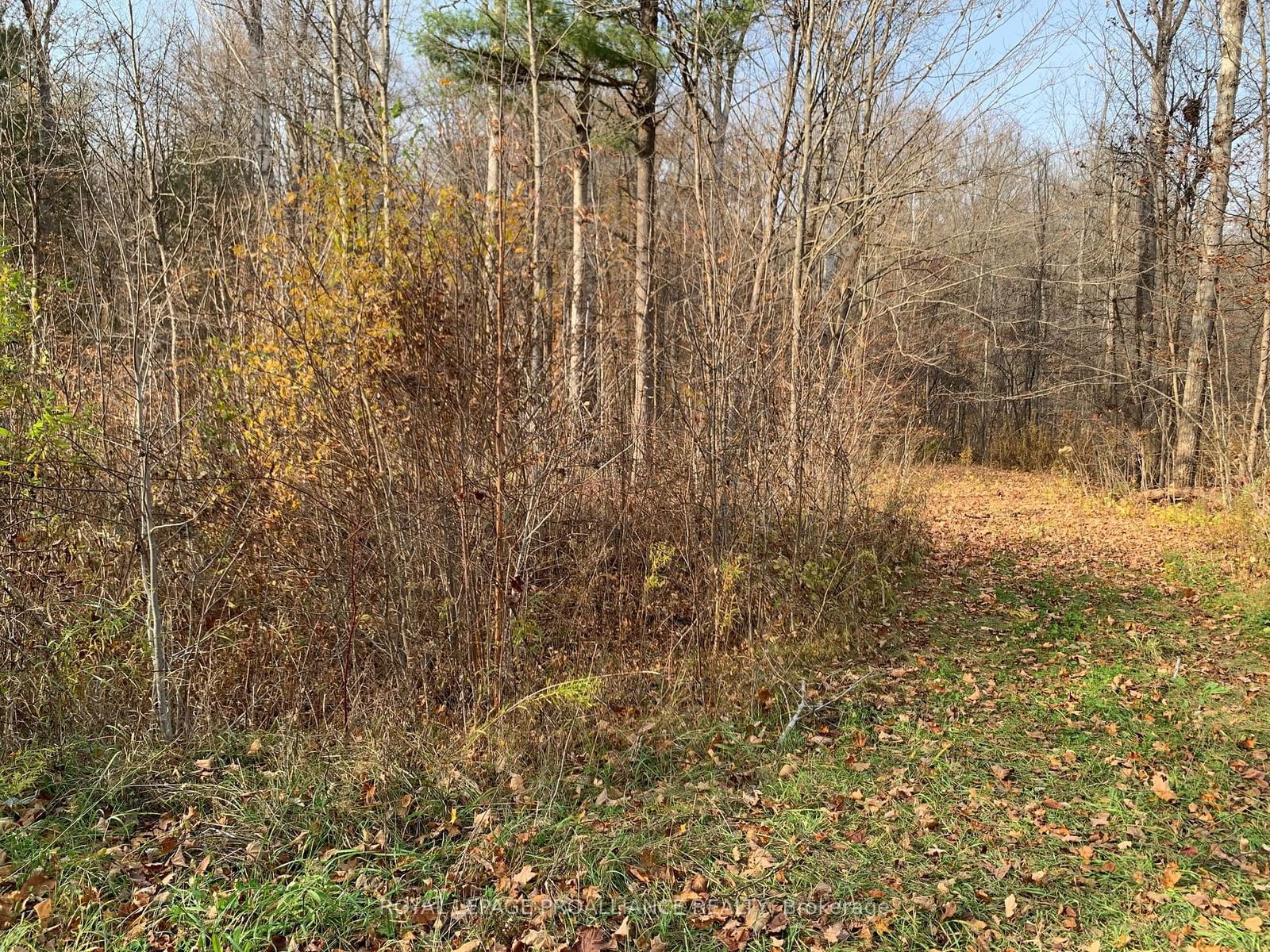 Vacant Land sold at 00 9th Line W, Part 1, Trent Hills, Campbellford, K0L 1L0 - MLS: X9769827