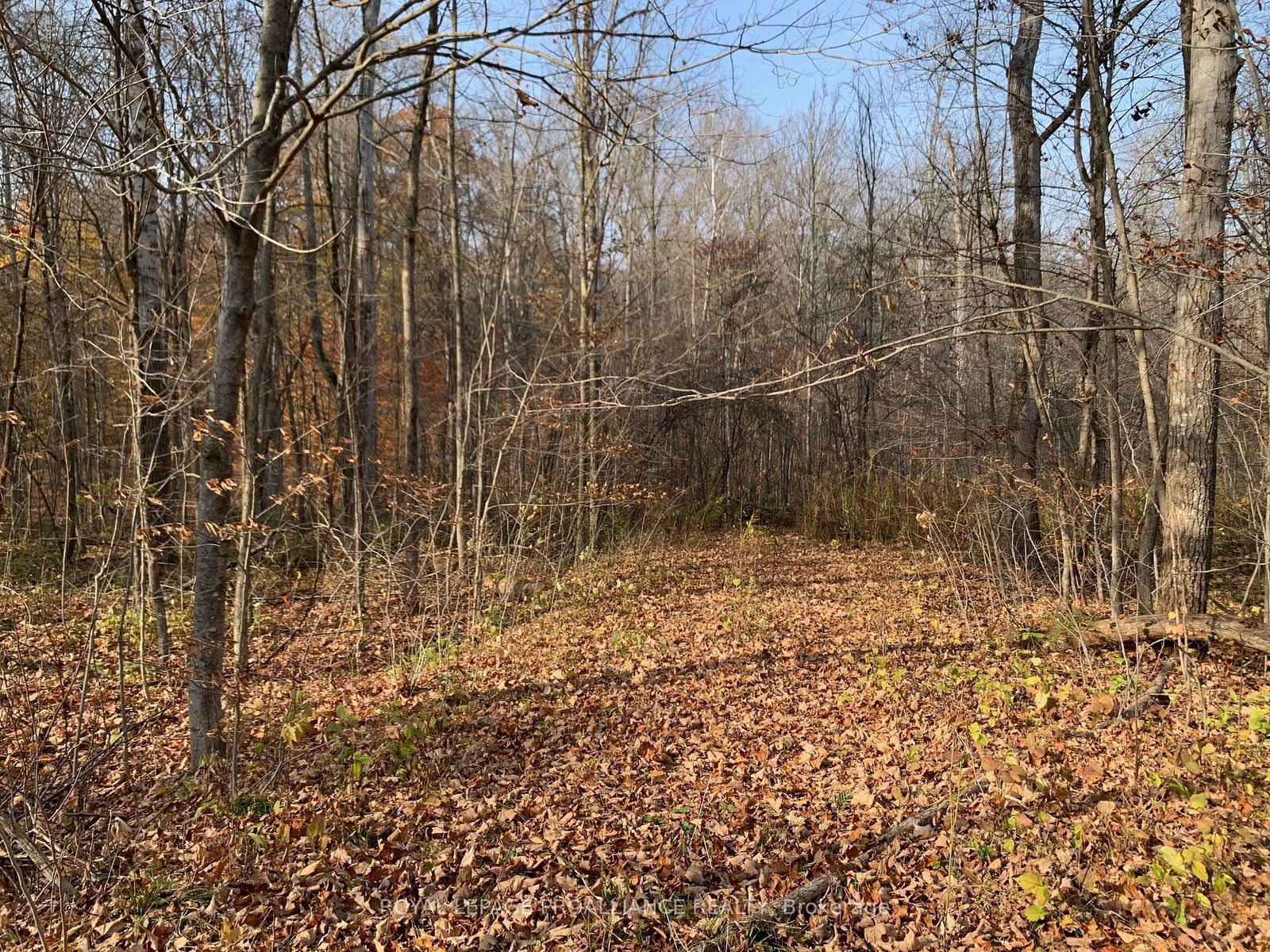 Vacant Land sold at 00 9th Line W, Part 1, Trent Hills, Campbellford, K0L 1L0 - MLS: X9769827