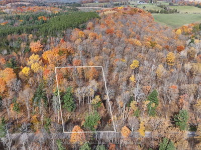 00 9th Line W, Part 2, Trent Hills - Campbellford