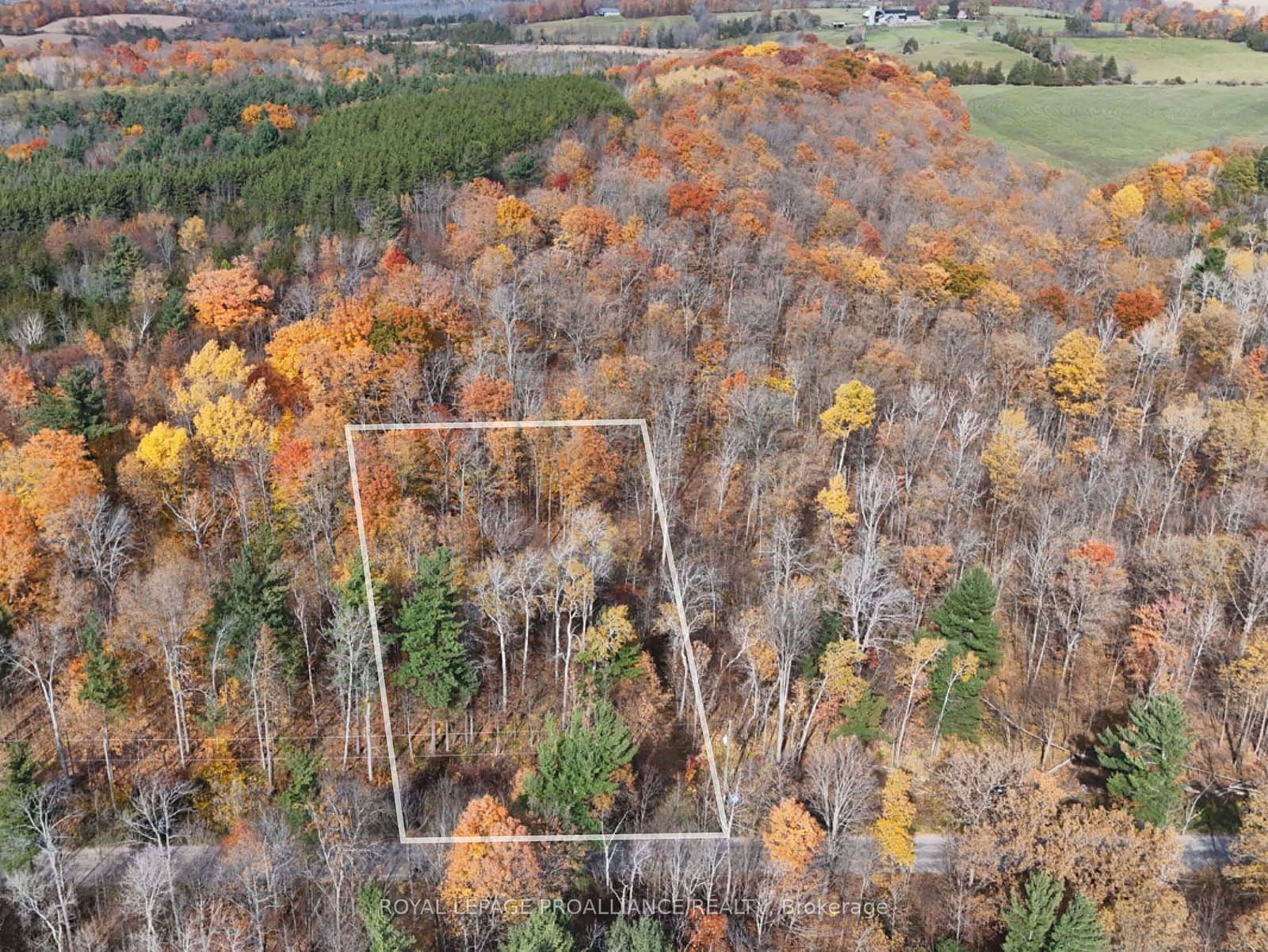 Vacant Land sold at 00 9th Line W, Part 2, Trent Hills, Campbellford, K0L 1L0 - MLS: X9769870