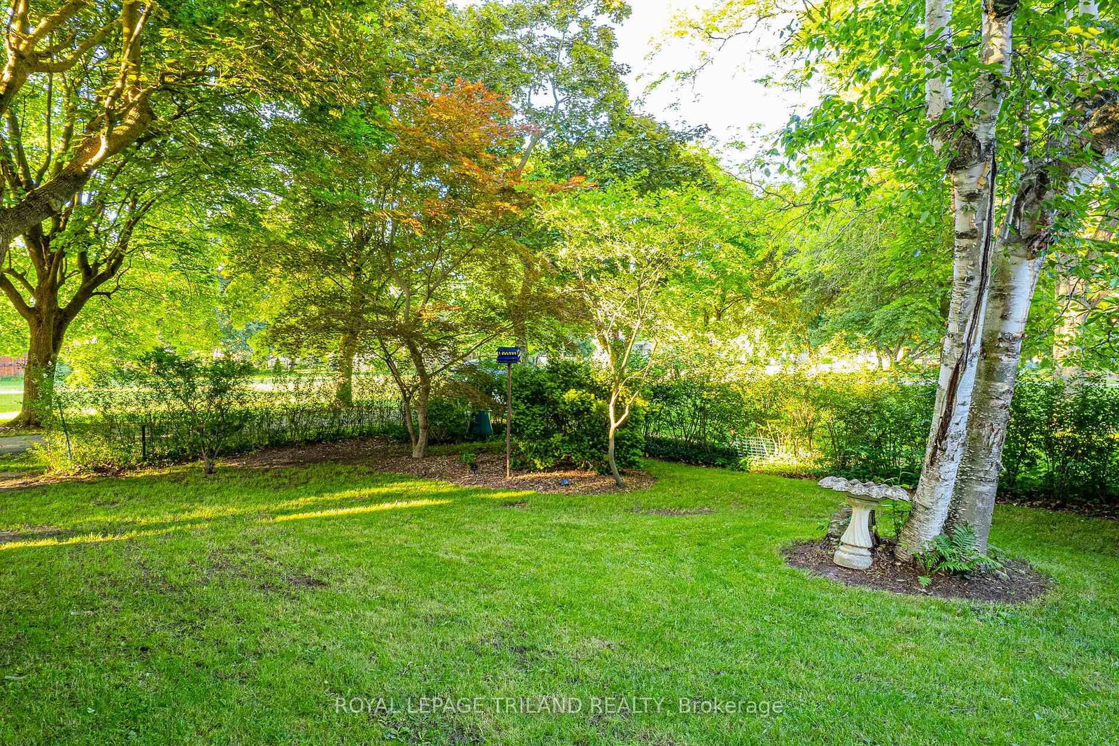 Listing Image 38